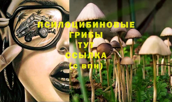 бошки Гусев