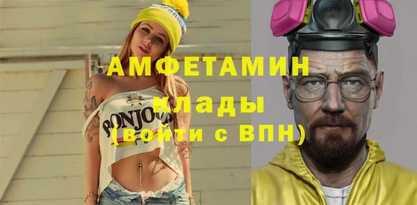 тгк Дмитров