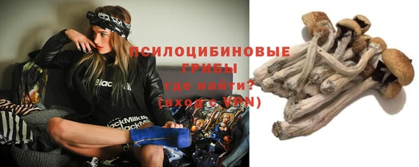 тгк Дмитров
