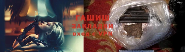 шишки Дмитриев