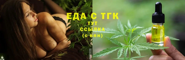 тгк Дмитров