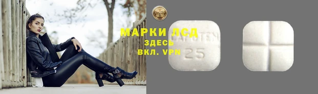 шишки Дмитриев