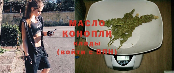шишки Дмитриев
