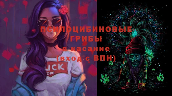 шишки Дмитриев